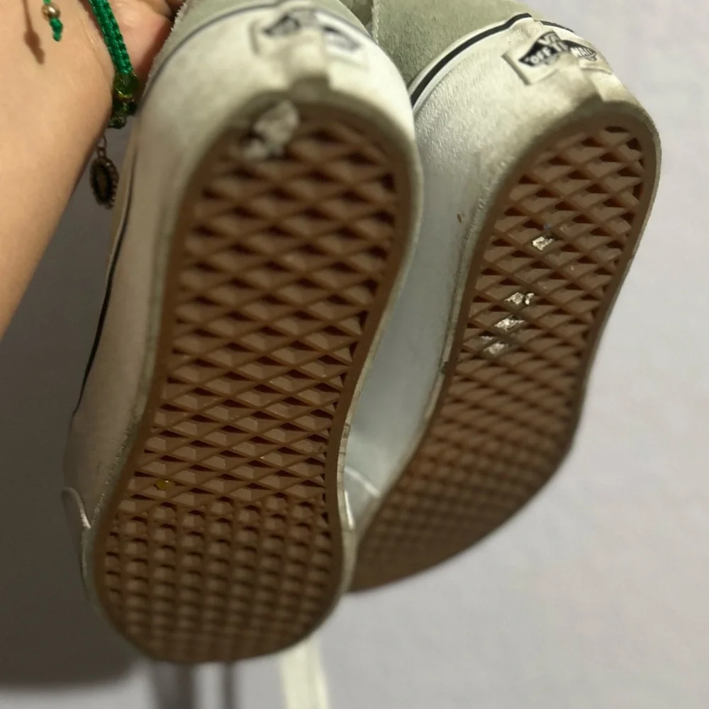 Platform Embroidered Vans Sk8-Hi